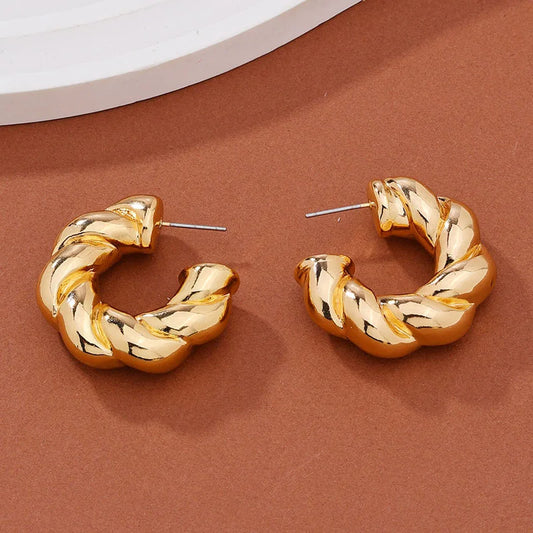 Trendy Twist Circle Hoops