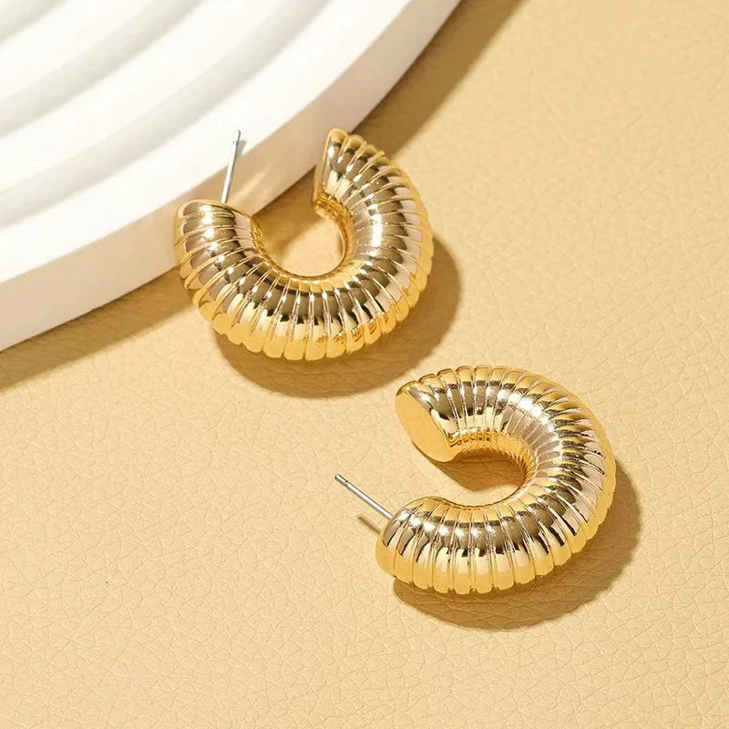 Trendy Twist Circle Hoops