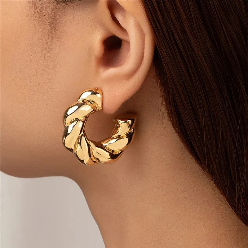 Trendy Twist Circle Hoops
