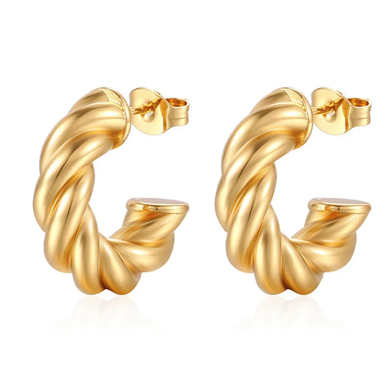 Trendy Twist Circle Hoops