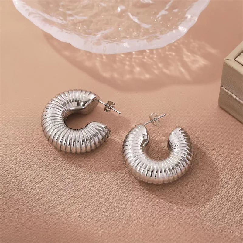 Trendy Twist Circle Hoops